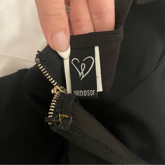 Sheer Bet Mesh Paneled Dress from Windsor - Picture 3 of 6